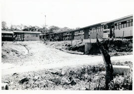 6130-3.jpg