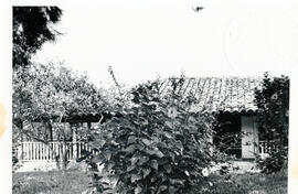 4153-16.jpg
