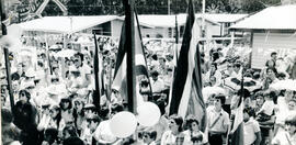 4393-4.jpg