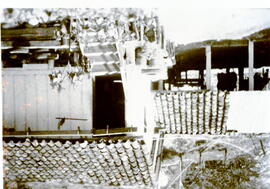4152-2.jpg