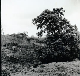 4128-16.jpg