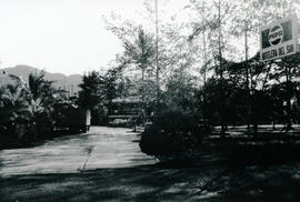 6249-20.jpg