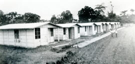 5527-3.jpg