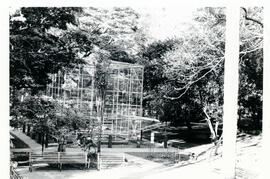 4153-4.jpg
