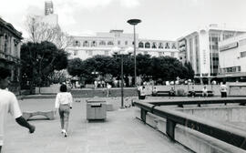 3894-3.jpg