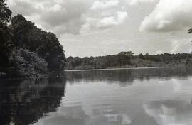 000516-9