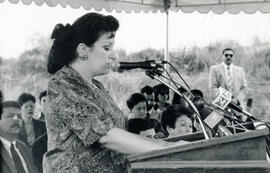 6002-31.jpg