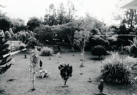6249-21.jpg