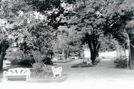 4931-2.jpg