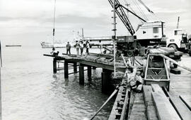 276-7.jpg