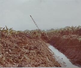 Fotografía de canal en medio de la plantación bananera y una máquina al fondo