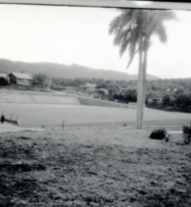 5722-8.jpg
