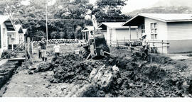 4393-3.jpg