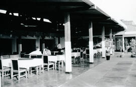 6249-8.jpg
