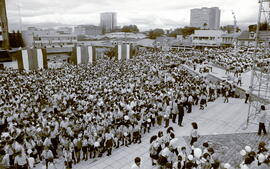 5201-35.jpg