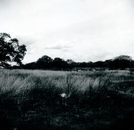 4118-4.jpg