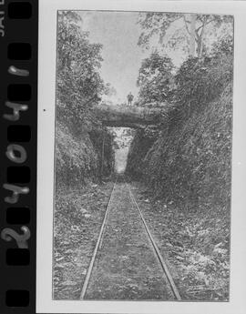 Contacto con imágen imagen de la línea férrea del Ferrocarril al Atlántico. Aparecen formando una...