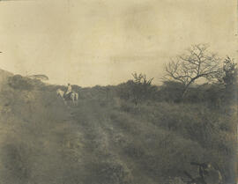 Fotografía en albun del sitio llamado Catalina. Se observa a un hombre montando a caballo. Guanac...