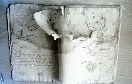 4631-6.jpg