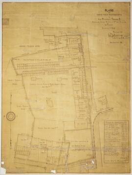 Plano de varias fincas pertenecientes a Roberto Traube B., situadas en el distrito segundo del Ca...