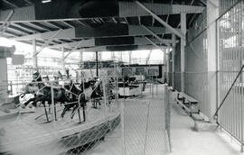 6286-10.jpg