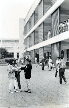 4464-3.jpg