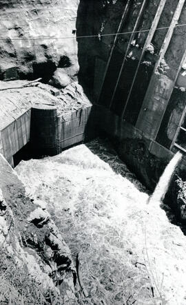 4173-2.jpg
