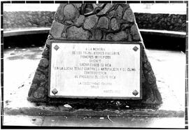 Negativos con imagen de la placa hecha en memoria de los italianos que vinieron a Costa Rica, dic...