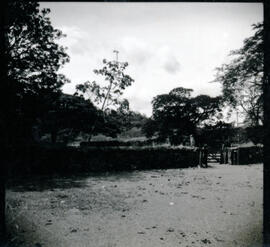 4126-36.jpg
