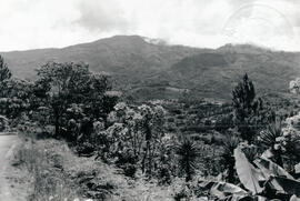 Fotografía panorámica de San Marcos de Tarrazú San José