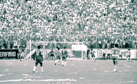 6274-20.jpg