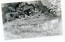 4689-5.jpg