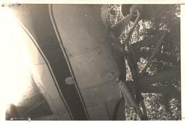 251924.jpg