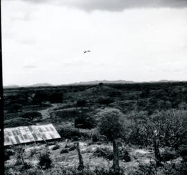 4119-4.jpg