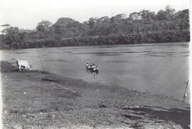 Fotografía del río San Juan.