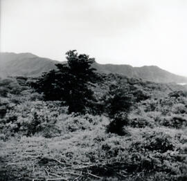 4128-22.jpg