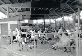 6286-11.jpg