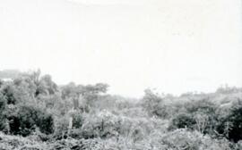 000272-32