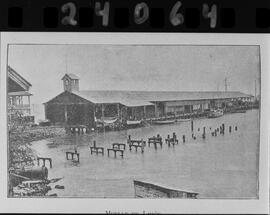 Contacto con una imagen del muelle de Limón