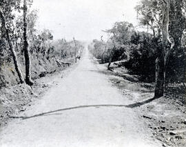 Fotografía del camino La Puebla a Santo Domingo, cuarta sección Heredia