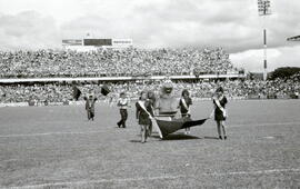6277-61.jpg