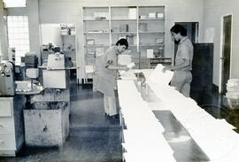 4522-2.jpg