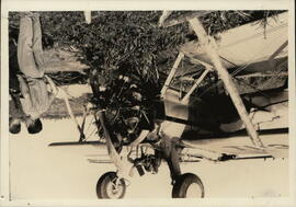 251958.jpg