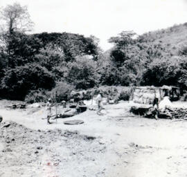4120-9.jpg