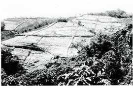 4277-4.jpg