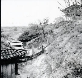 4125-11.jpg