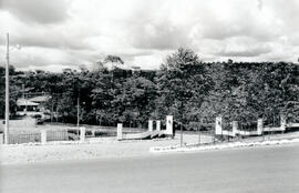6240-2.jpg