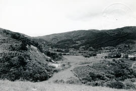 5083-4.jpg