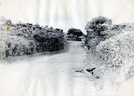 Fotografía de centros poblados rurales, caminos, playas, puentes, etcétera San José
