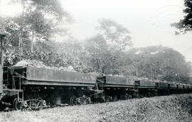 4615-23.jpg